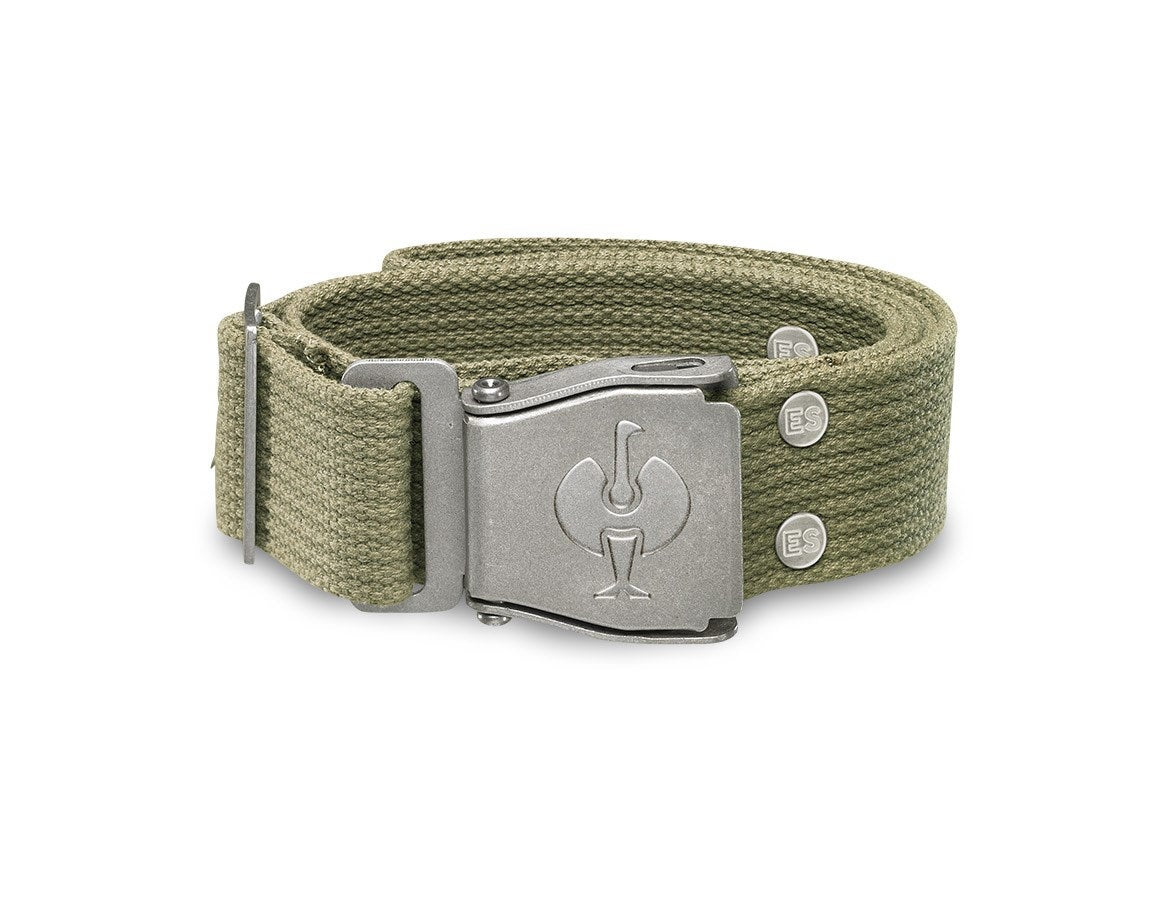 Primary image Belt e.s.motion reed