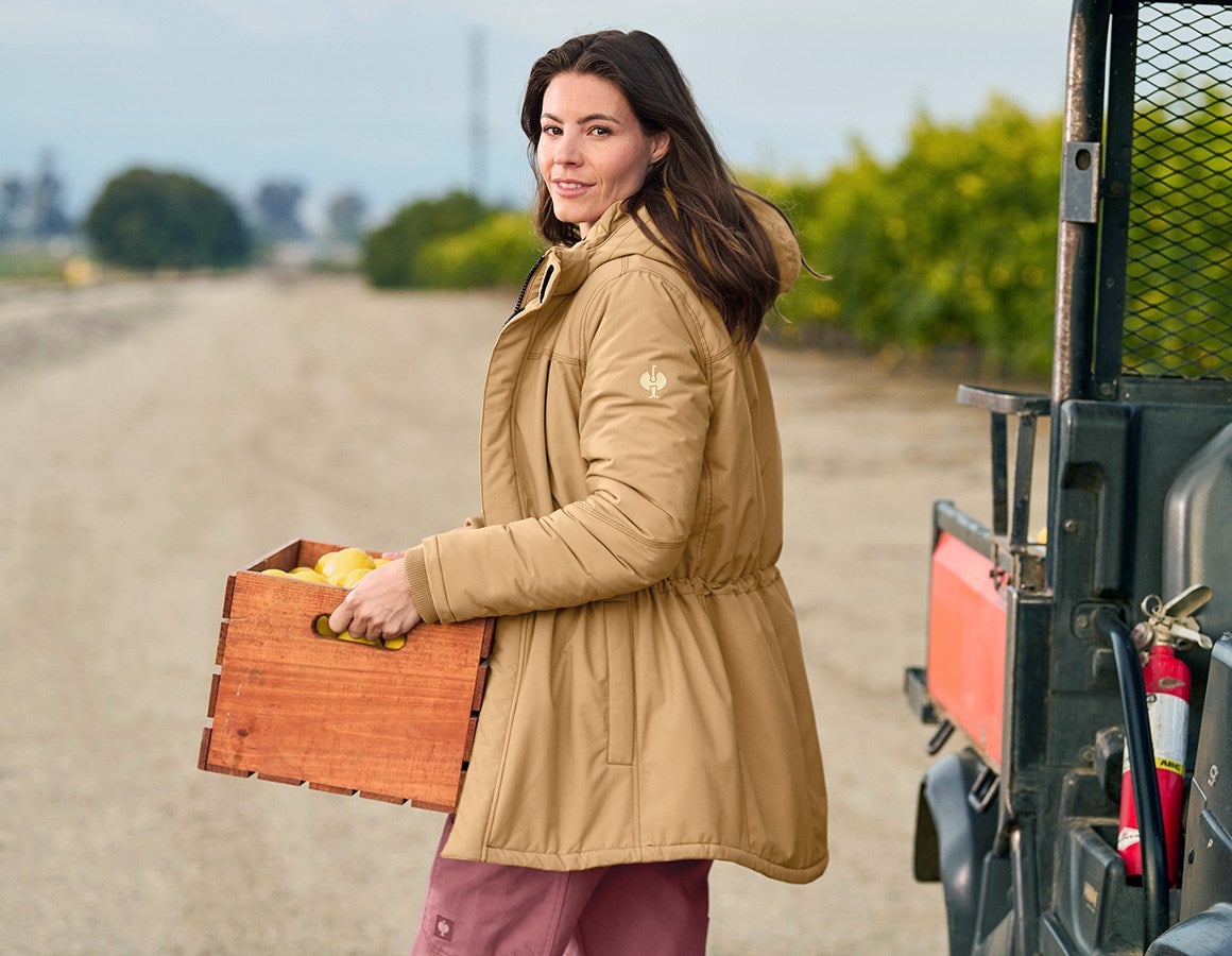 Additional image 6 Parka e.s.iconic, ladies' almondbrown
