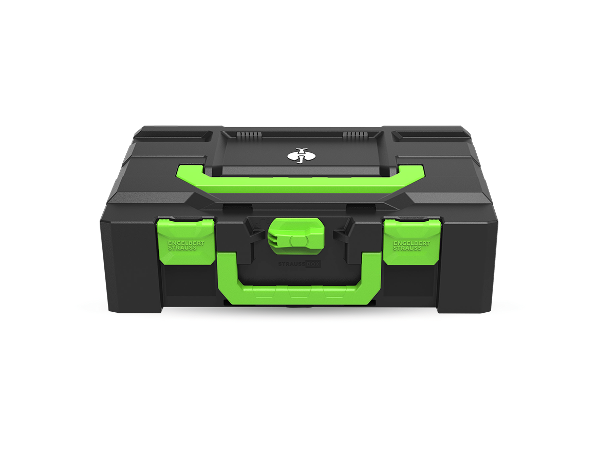 Primary image STRAUSSbox 145 large Color seagreen